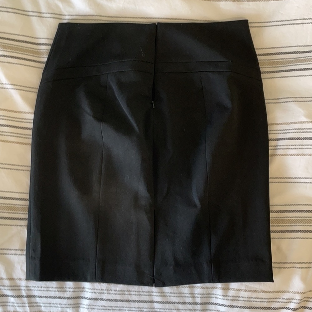 Express Skirt - Picture 3 of 5